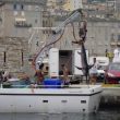 Vieux Port Bastia. Vissers hijsen tegenover ons een grote zwaardvis aan wal