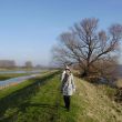 Biesbosch. Wandeling over het dijkje van de Hooge Hof polder