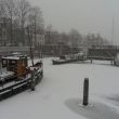 03-02-2012. Sneeuwval in de Lingehaven, vanaf dezelfde plek als de vorige foto