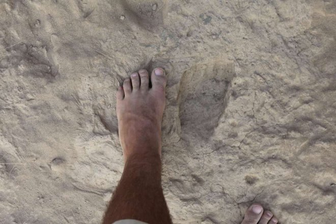 Een 1,5 miljoen jaar oude voetafdruk van Homo Erectus, een directe voorouder van de moderne mens. Onlangs gevonden in het noorden van Kenia. Ter vergelijking ernaast de iets kleinere, moderne voet van...ja, van wie eigenlijk?