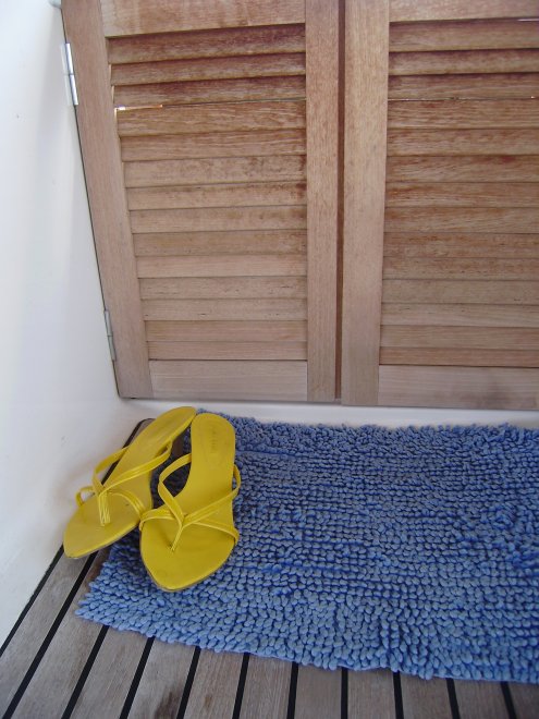 Die schoentjes droeg ze gisteravond tijdens het diner