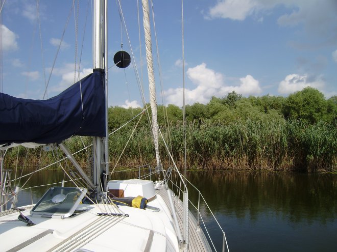 Dulce voor anker bij een rietkraag in een oude arm van de Donau