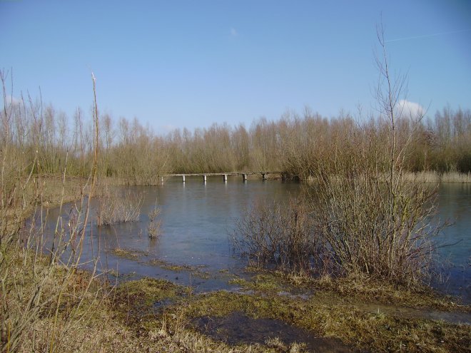 Het natuurgebied Struikwaard bij de Wilhelminasluis