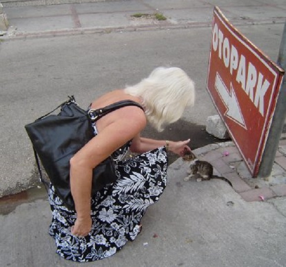 Mersin. Voor het hotel raakt Ans vertederd van een broodmager jong katje vol met vlooien