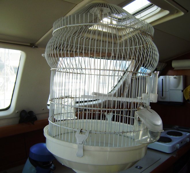 Een lege kooi in de kombuis. Lord Byron is dood