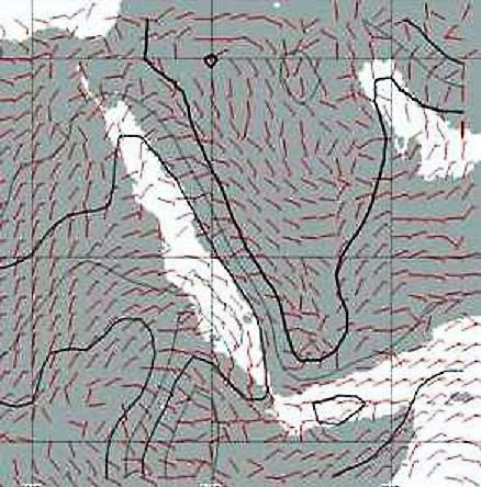 GRIB-file met de 24-uursverwachting (wind) voor de Rode Zee en de Golf van Aden