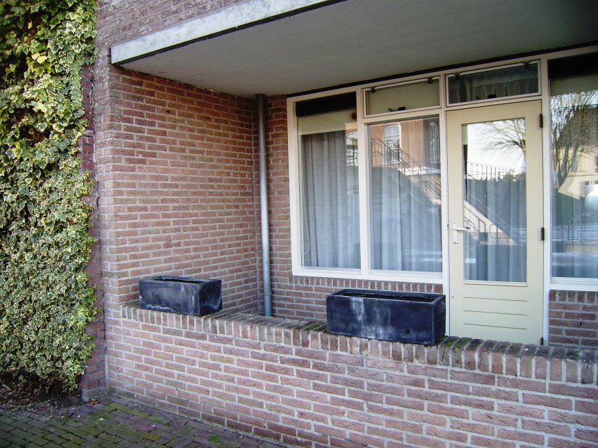 Nog maar twee van de vier bloembakken op de rand van ons gelijkvloers balkon. De andere twee werden eergisteren gestolen. Deze kreeg het fladderappes niet los