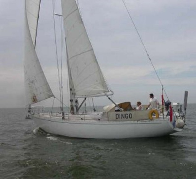 De Dingo onder zeil