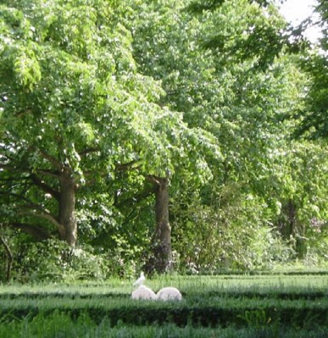Oude Algemene Begraafplaats aan de De Vries Robbéweg
