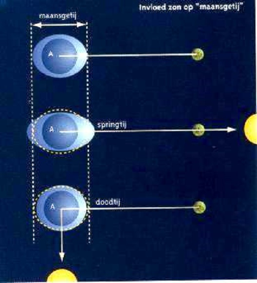 Ontstaan van het getij, de twee vloedheuvels tegenover elkaar op aarde, en van springtij en doodtij