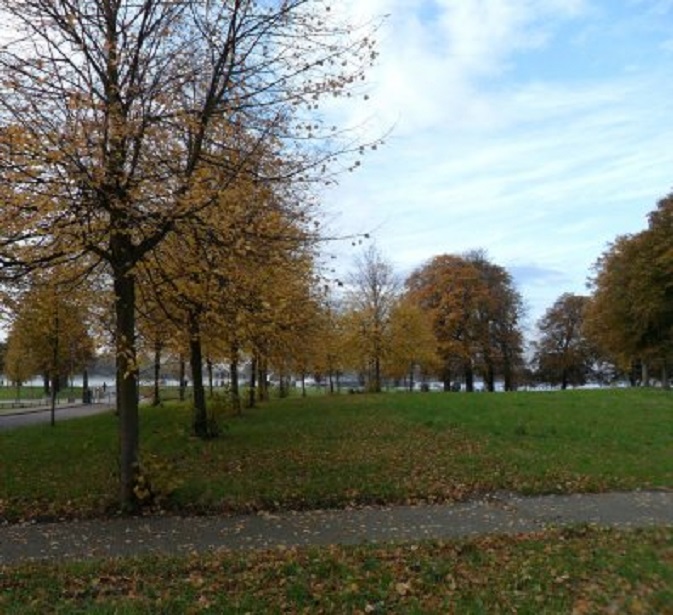 Herfst op Buiten de Waterpoort