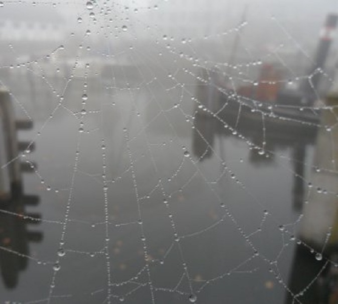 Vanmorgen nog steeds mist