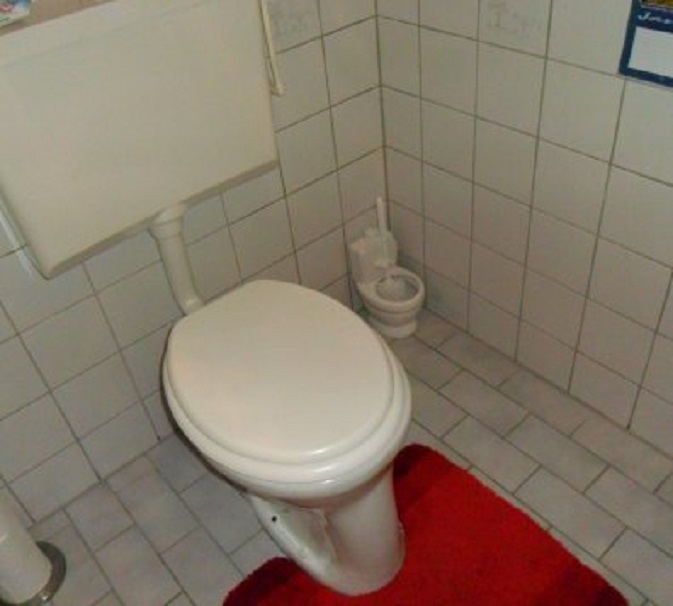 Het nieuwe toiletborstelhoudertje van de Blokker