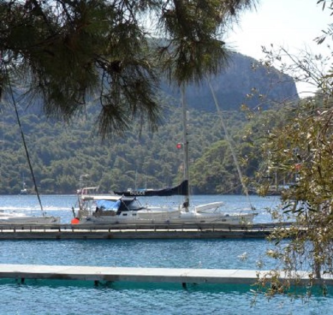 Wall Bay. Het is net of je in het bos ligt.