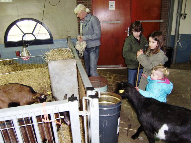 In de kinderboerderij in het Gijsbert van Andelpark in Gorcum. Vlnr. Ans, Jordin, Nikita en Esri en een onbekende geit.