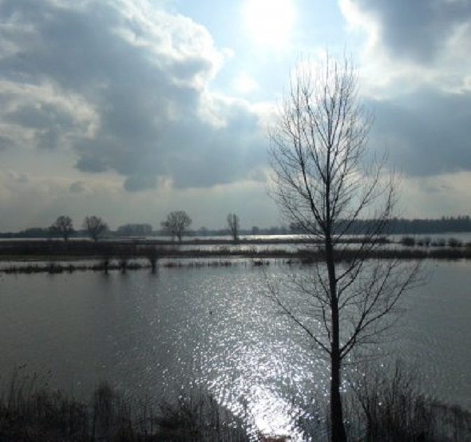 De Merwede schittert in de zon. De uiterwaarden staan nog grotendeels onder water