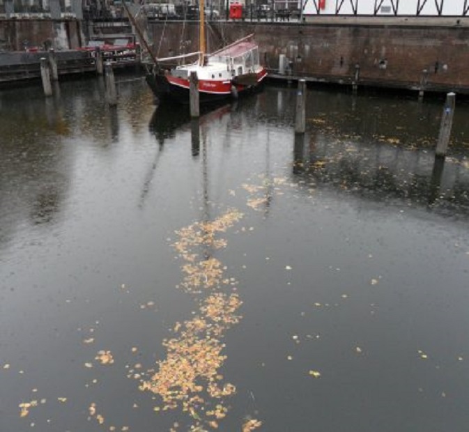 Herfst in de Lingehaven.