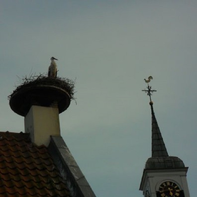 De ooievaar in Heukelum