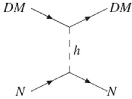Een deeltje N, bijvoorbeeld een quark, reageert met een donkere materie deeltje (DM) onder uitwisseling van een Higgs-deeltje (h)