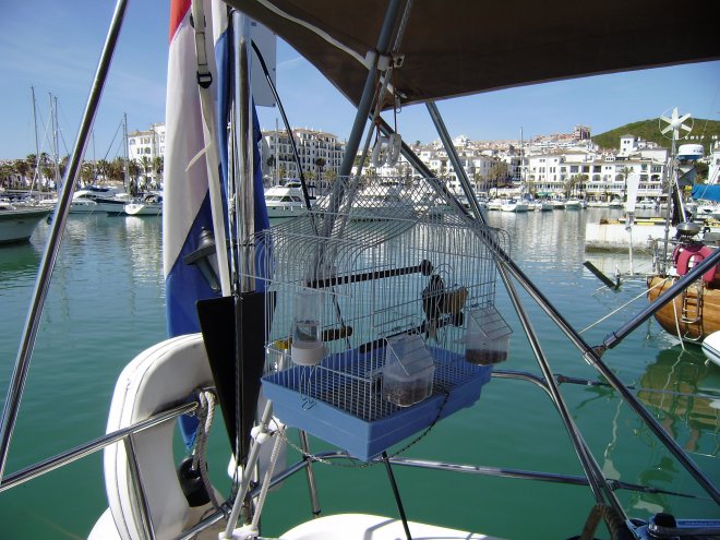 Puerto de la Duquesa. We hangen Lord Byron lekker en comfortabel in zijn kooi buiten, onder de bimini. Hij stelt dat zeer op prijs.