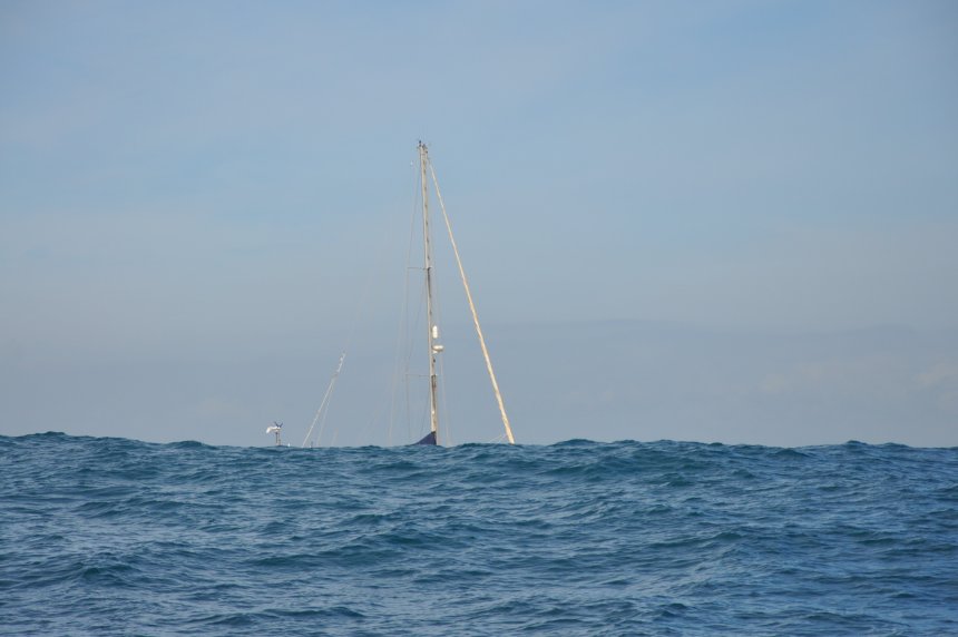 Dulce gisteren in de oceaandeining op weg naar Peniche (foto Ineke Kambier)