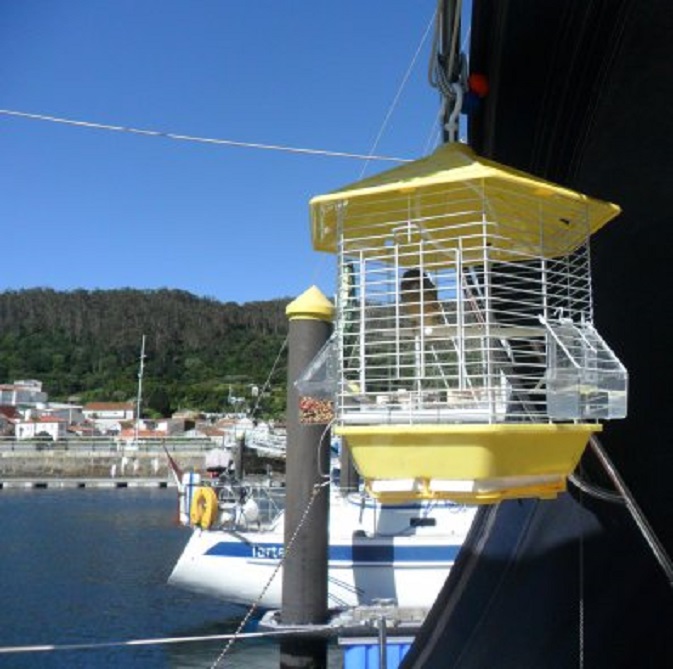 Dom Viano in zijn kooitje uit de wind onder de buiskap