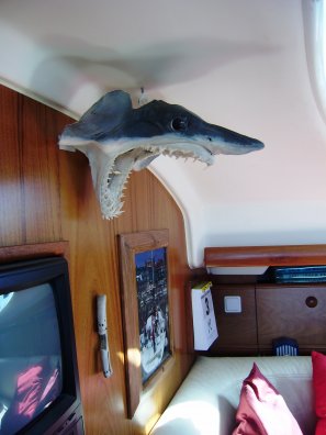 De haaienkop die we in Bénalmedana kochten.