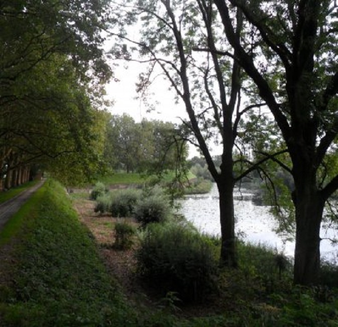 Vanmorgen op de Dalemwal