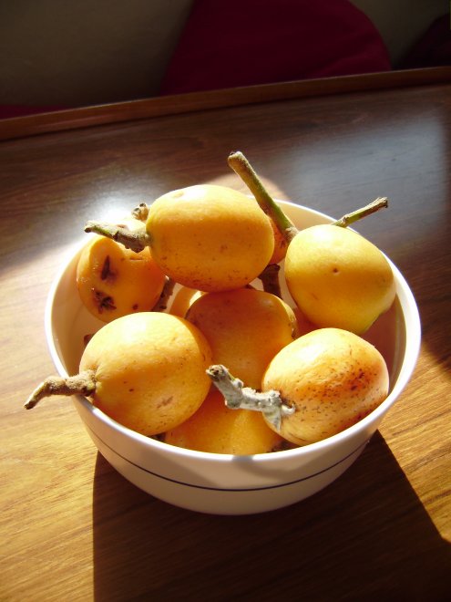 Verse Nisperos van de supermarkt. De vrucht van de Japanse (wol)mispel, ofwel - voor kenners - de foute kathedraalboom