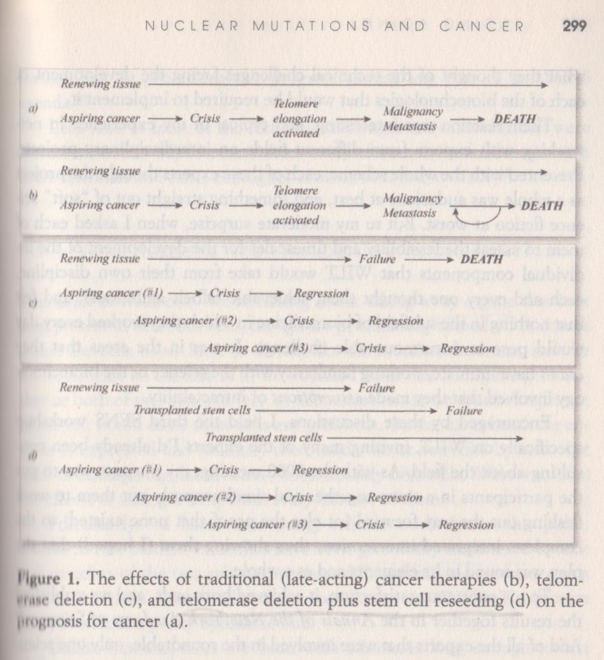 Het WILT-concept voor de definitieve behandeling van kanker.Schema uit het boek 'Ending Aging' van Aubrey de Grey. Het schema wordt in de blogpost uitgelegd.