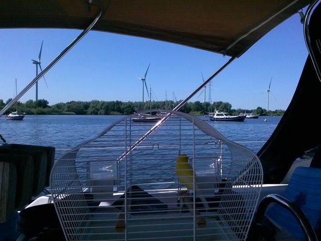 Sir Geldof in zijn kooitje in de schaduw van de bimini kijkt naar het dorp van ankeraars.