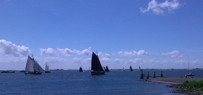 Zeilwedstrijden van platbodems op het Haringvliet.