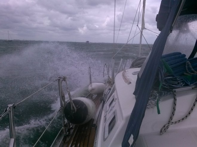 Flinke zeegang op de Oosterschelde.