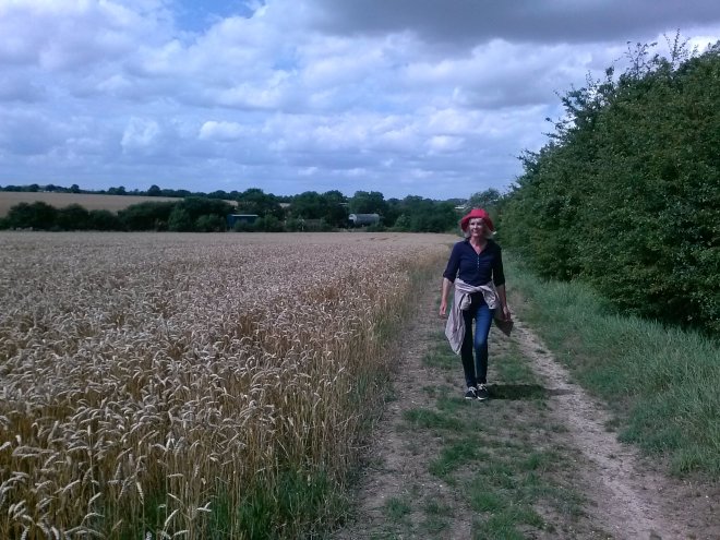 In het akkergebied ten noorden van Burnham-on-Crouch.