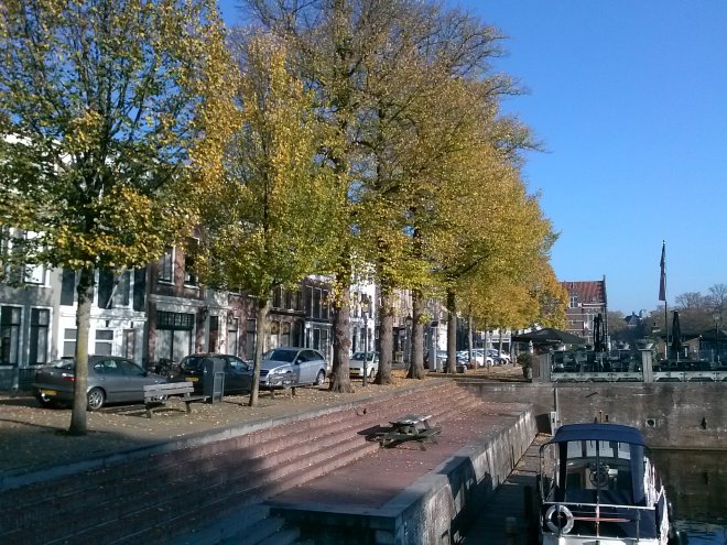 De bomen op het Eind in herfsttooi.