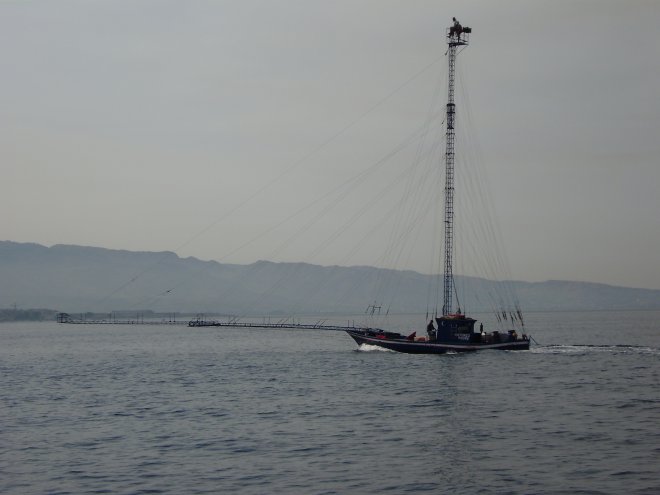 Typische zwaardvis-harpoeneerboot. Wordt vanaf het kraaiennest bestuurd. Vanaf het puntje van de lange boegspriet worden slapende zwaardvissen geharpoeneerd