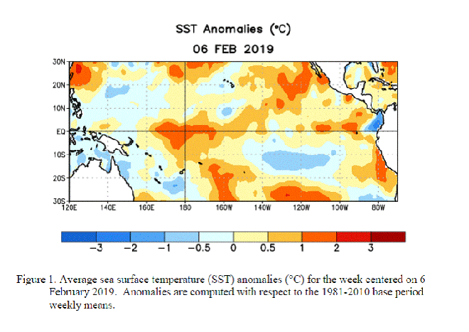 Zwakke El Niño 2019 in de Pacific, 1e helft van februari (bron: CPC)