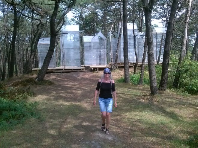 Achter Anna het Oerol kunstproject "Plan B