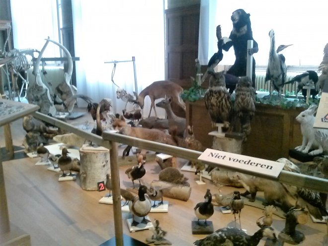 Ruimte op de eerste verdieping van het Gronings Universiteitsmuseum.