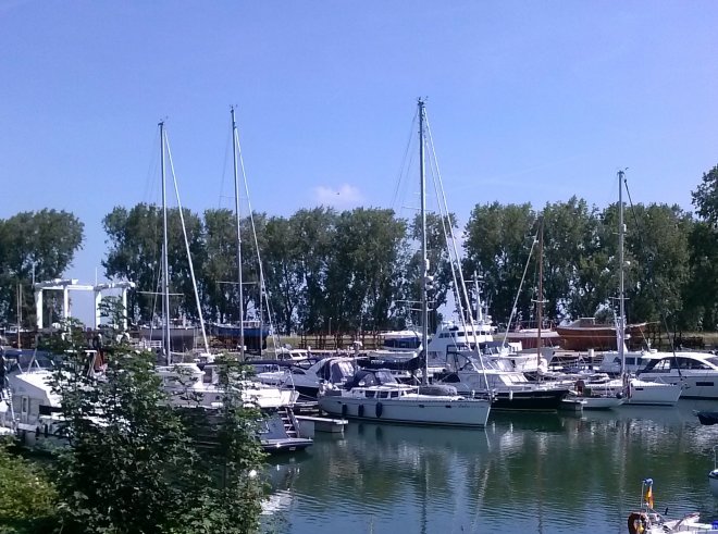 Dulce terug in Numansdorp.