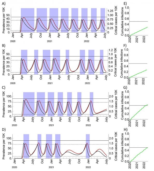 Prevalentie van Covid-19 (zwarte lijn) en ernstige ziektegevallen (rode lijn) bij scenario