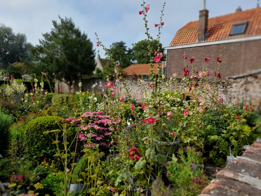 Een van de prachtige binnentuinen in Veere