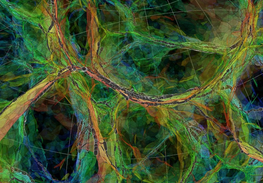 Computersimulatie van het kosmisch web (bron: De Volkskrant, Hidding)