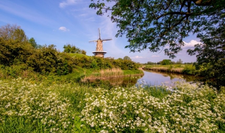 Uiterwaard ten oosten van de Dalemwal. In de verte korenmolen De Hoop op de stadswal (foto: Willem Vernooy, DSG)