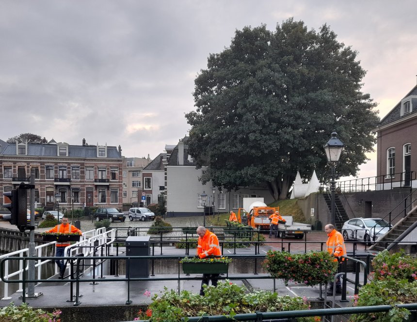 De geraniumss gaan, de winterviolen.komen.