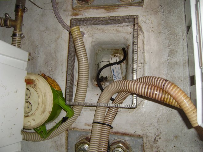 Foto van het bilgeputje. Onder het zwarte draadje (voor electriciteit) zie je het vlottertje van de automatische bilgepomp. De vier slangen zijn uit elkaar getrokken. Die aan de linkerkant is de boosdoener.