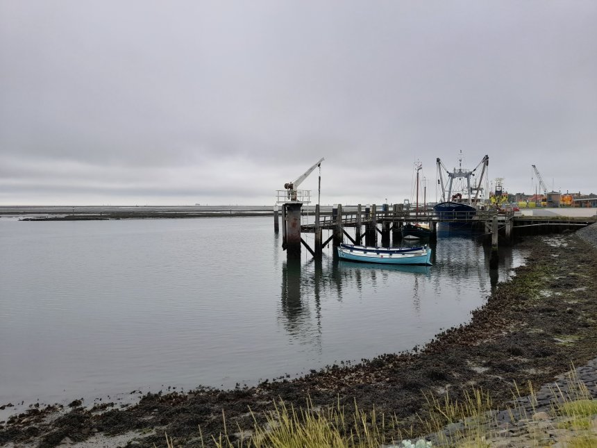 Het wad bij laag water vanmorgen toen het nog miezerde.
