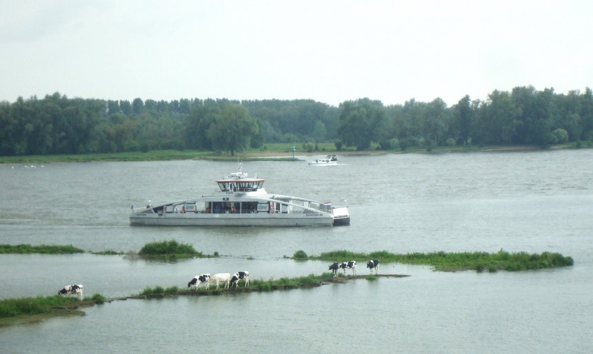 De uiterwaarden van de Merwede bij Gorcum llopen onder door de vele regens. (foto: Annet Ardesch)