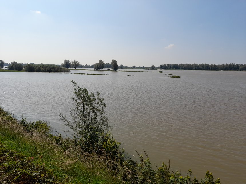 De Merwede vanmorgen. De uiterwaard is ondergelopen.