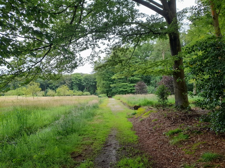 De rand van het Rijsterbos met links het golvende terrein van de voormalige slottuin van Huize Rijs.